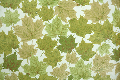 1960s Botanical Vintage Wallpaper